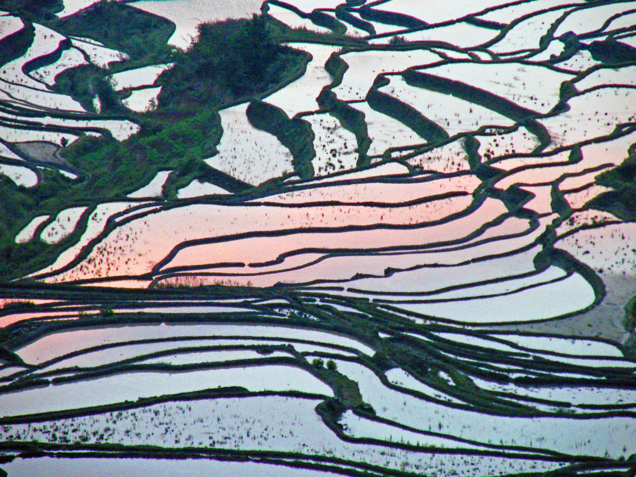 Yuanyang-15.jpg