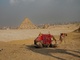 Egypte Egypte