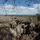 <strong>Lire la suite</strong><br>Les points forts du voyage a Madagascar Les points forts du voyage a Madagascar