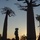 <strong>Lire la suite</strong><br>Madagascar en photos Madagascar en photos