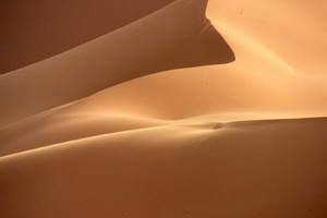 <strong>Lire la suite</strong><br>Dunes de rêve du Sahara Dunes de rêve du Sahara