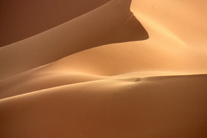 Dunes de rêve du Sahara