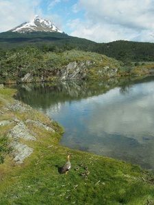 <strong>Lire la suite</strong><br>Terre de feu argentine Terre de feu argentine