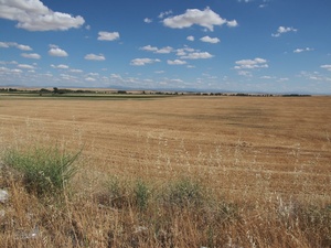 <strong>Lire la suite</strong><br>Castille & Leon Castille & Leon