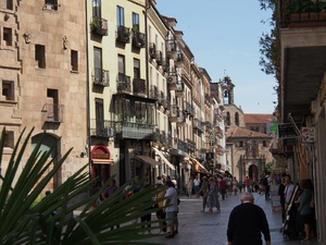 <strong>Lire la suite</strong><br>Salamanque Salamanque