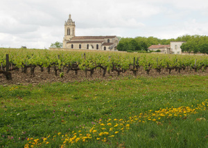 Le Bordelais et ses grands vins