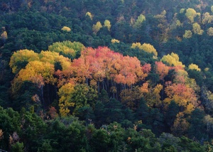 <strong>Lire la suite</strong><br>Entre Verdon et Var Entre Verdon et Var