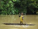 Chez les Asmat et les Korowai (2009)