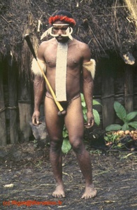 <strong>Lire la suite</strong><br>Papouasie centrale Papouasie centrale