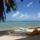 <strong>Lire la suite</strong><br>Carnet de voyage dans les îles de la Société Carnet de voyage dans les îles de la Société