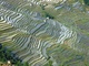 Le Yunnan Le Yunnan