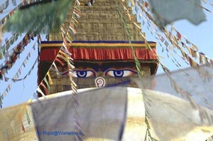 <strong>Lire la suite</strong><br>Le Népal Le Népal