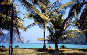 <strong>Lire la suite</strong><br>Thaïlande en bref Thaïlande en bref