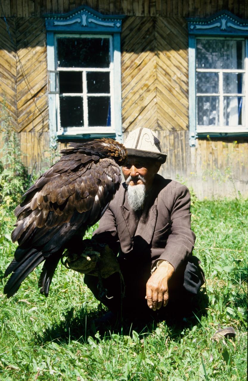 Vieux chasseur a l'aigle du Kazakhstan