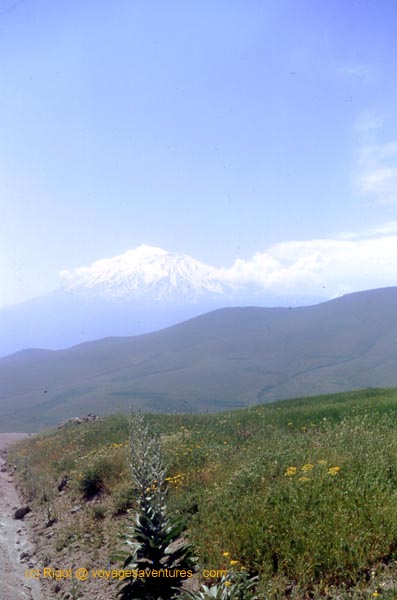 turquie : mt Ararat