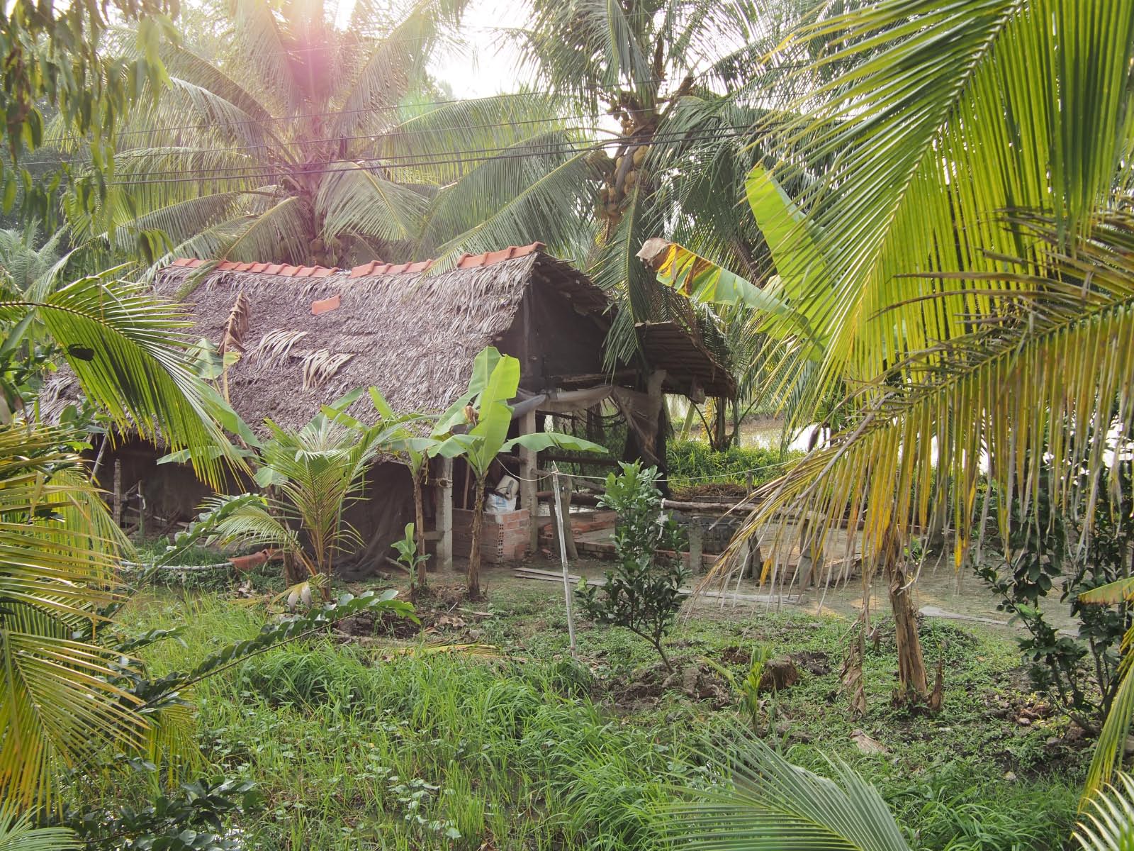 vietnam - village du Mékong