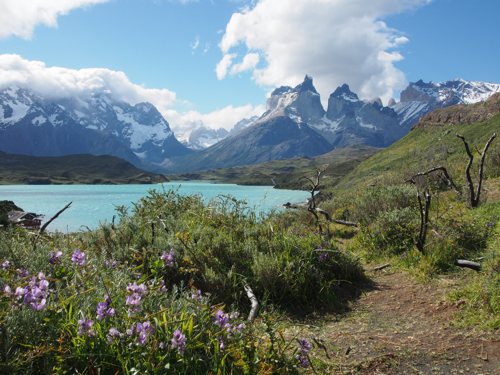 Chili- Patagonie- parc de tores del Paine