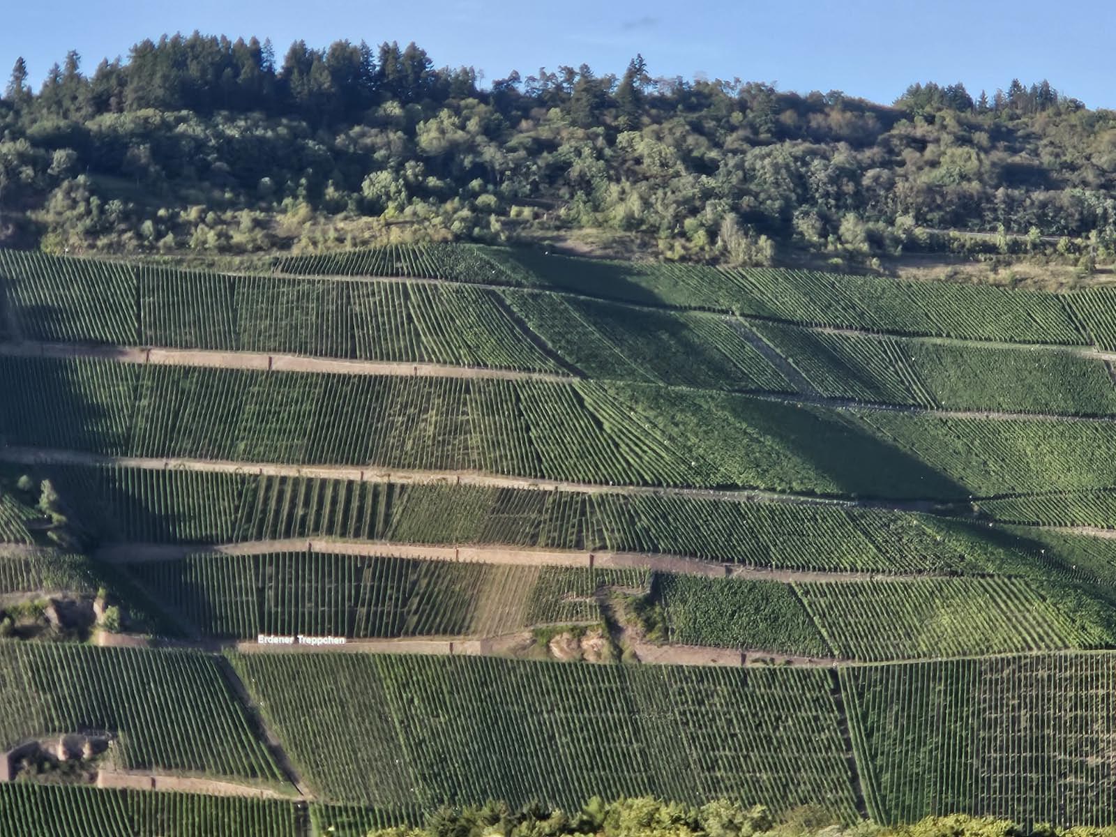 Vignobles de la Moselle allemande Vignobles de la Moselle allemande