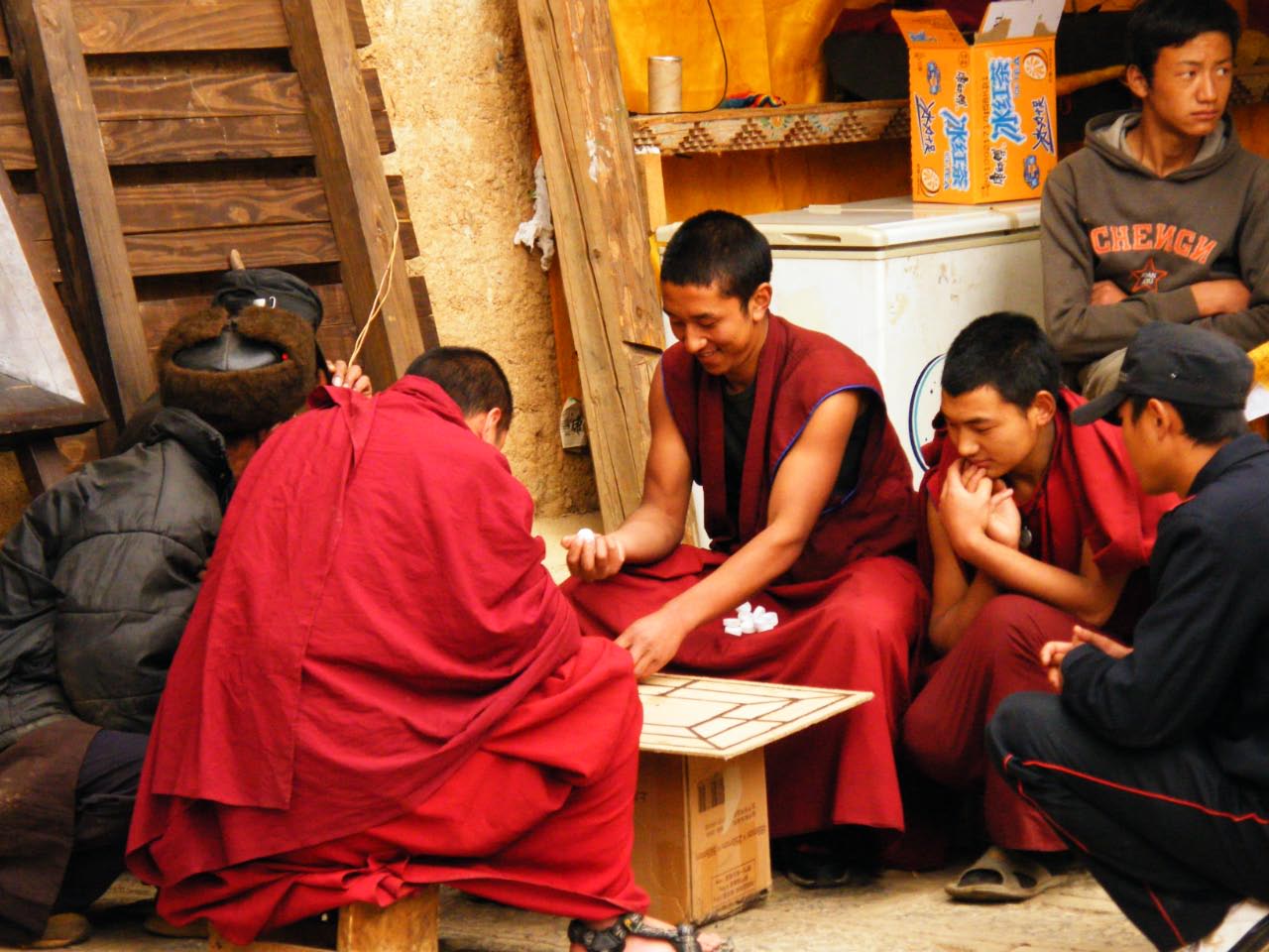 Moines du monastère tibétain en reconstruction