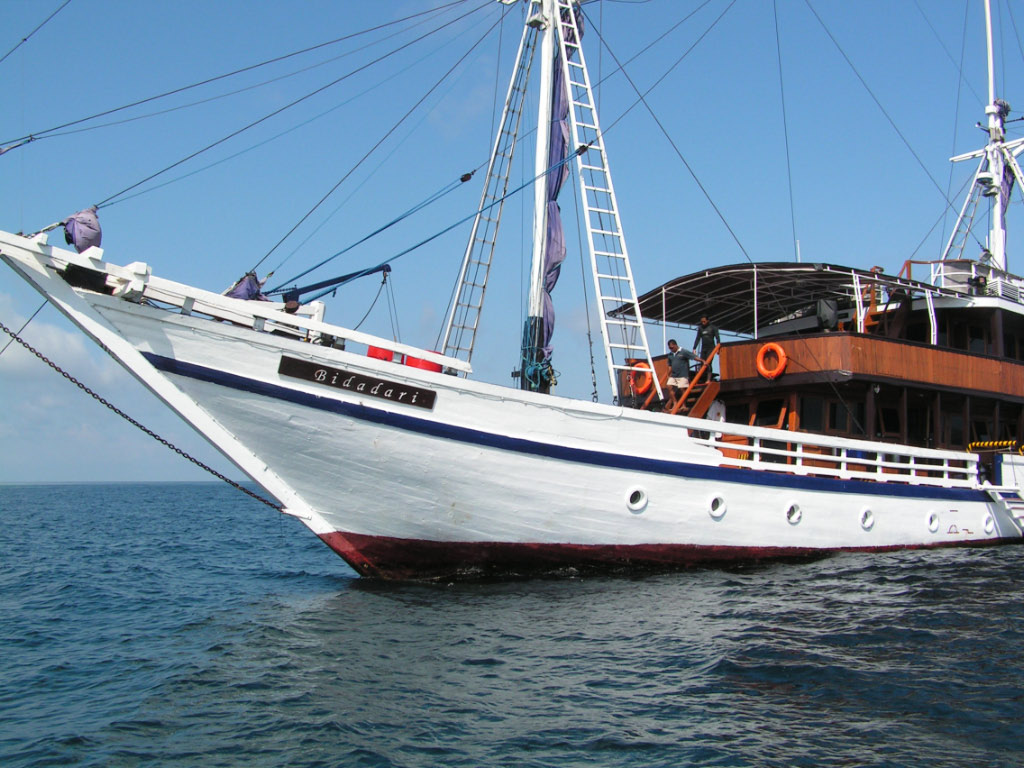 Le bateau de la croisière : Pinisi Bidadari