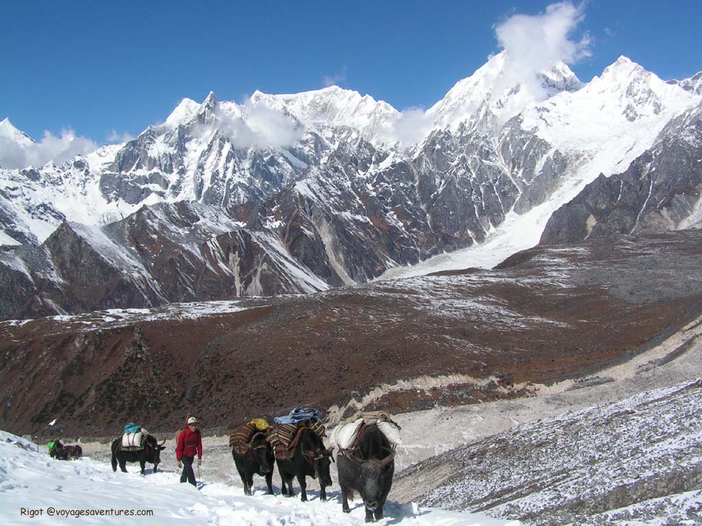 Lorsque les échanges avec le Tibet voisin n'est pas interdit, les habitants des hautes vallées s’approvisionnent en marchandise chinoises pour le marché népalais 