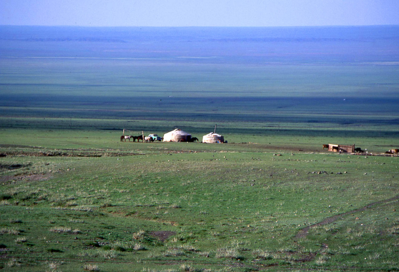 Steppe de l'Asie centrale (en Mongolie)