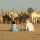 Espace Sahélo-Saharien (Nord Sahel)