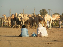 Espace Sahélo-Saharien (Nord Sahel)