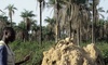 Afrique de l Ouest atlantique sahélienne Afrique de l Ouest atlantique sahélienne