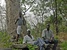 Afrique de l Ouest Atlantique forestière