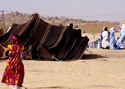 Mauritanie ( l'état)