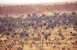 Espace Sub-sahélien (Sud Sahel)