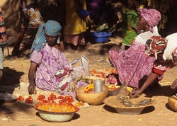 <strong>Lire la suite</strong><br>Ethnies apparentées aux Peuls : Toucouleurs et Wodaabe Ethnies apparentées aux Peuls : Toucouleurs et Wodaabe