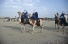 Espace Sahélo-Saharien (Nord Sahel) Espace Sahélo-Saharien (Nord Sahel)