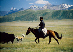 Les Kirghizes