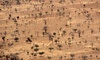 Afrique sahélienne Afrique sahélienne