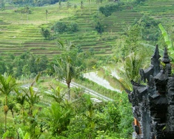 <strong>Lire la suite</strong><br>L'ile de Bali L'ile de Bali