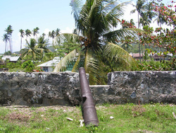 Histoire des îles aux épices : les Moluques