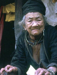 Hmong - Démographie