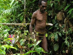 Les nombreuses ethnies Papou