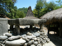 <strong>Lire la suite</strong><br>Sumbanais - religions - Us et coutumes Sumbanais - religions - Us et coutumes