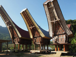Histoire et culture des Toraja