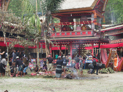 <strong>Lire la suite</strong><br>Peuples d'Indonésie Peuples d'Indonésie