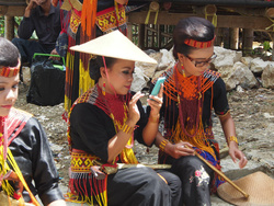 Les Torajas - l'ethnie