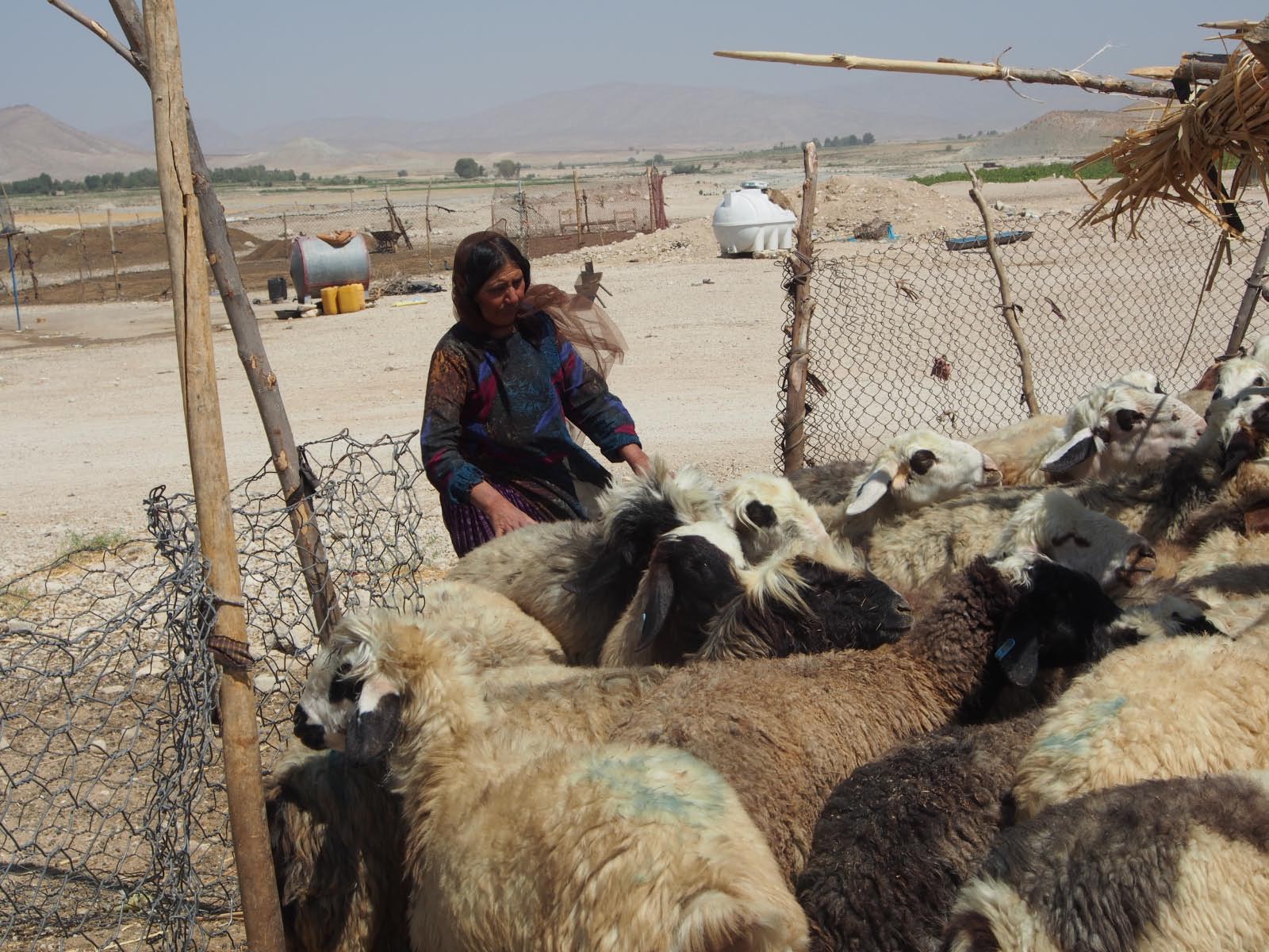 Campement Kashkai Campement Kashkai